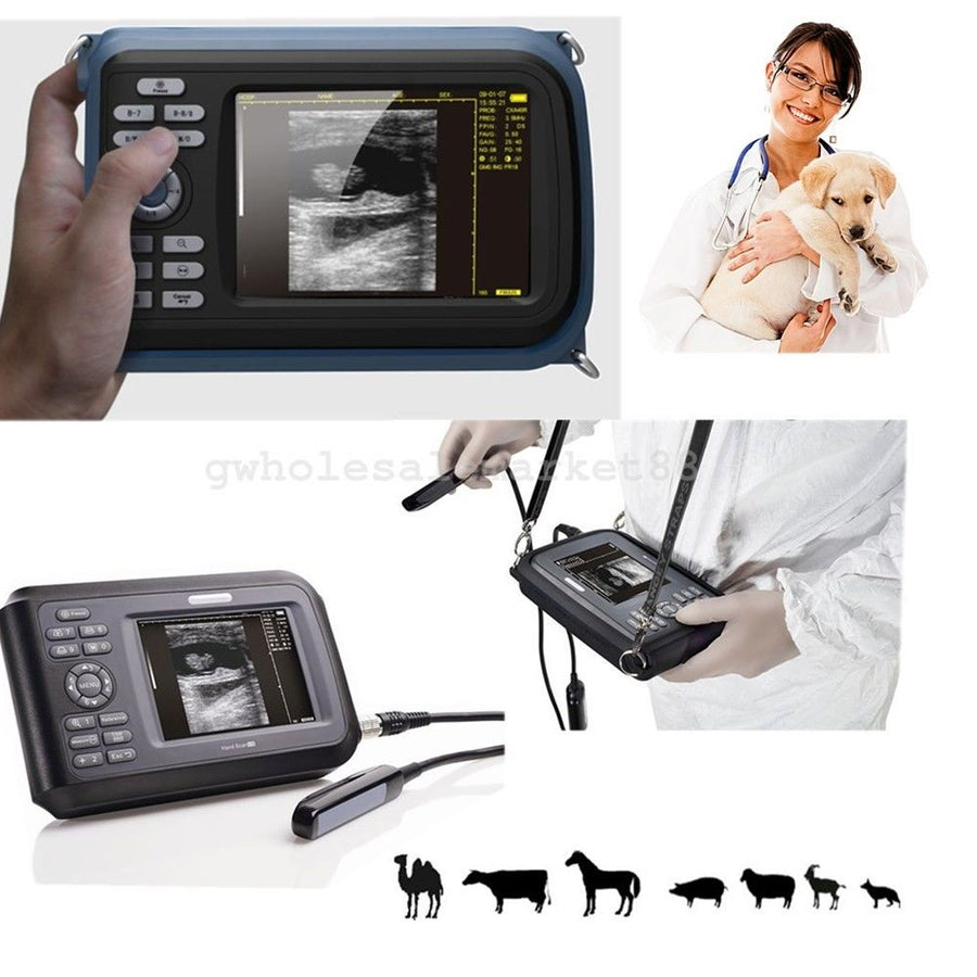 (MS-5100V) Scanner vétérinaire portable de scanner vétérinaire d'ultrason  d'ordinateur portable médical