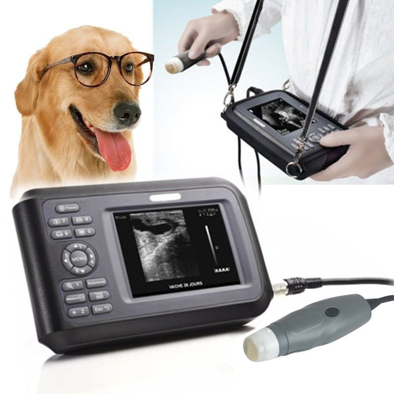 Veterinary Animal Ultrasound Scanner Rectal Linear Probe with Box Bettery A+ 190891468284